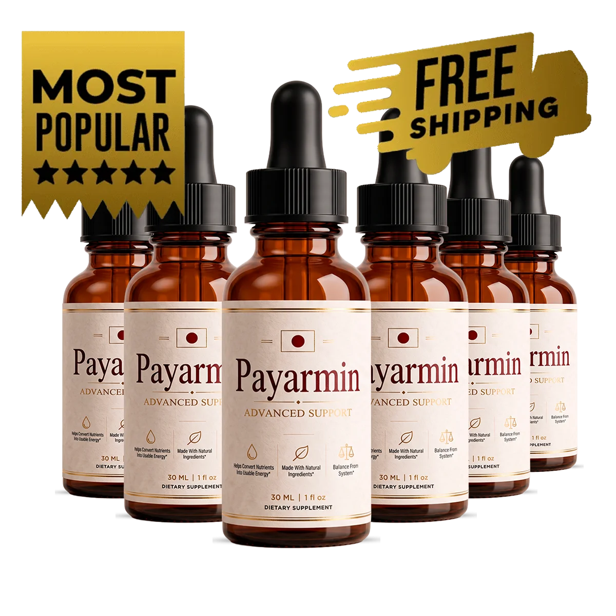 Payarmin 6 bottles package
