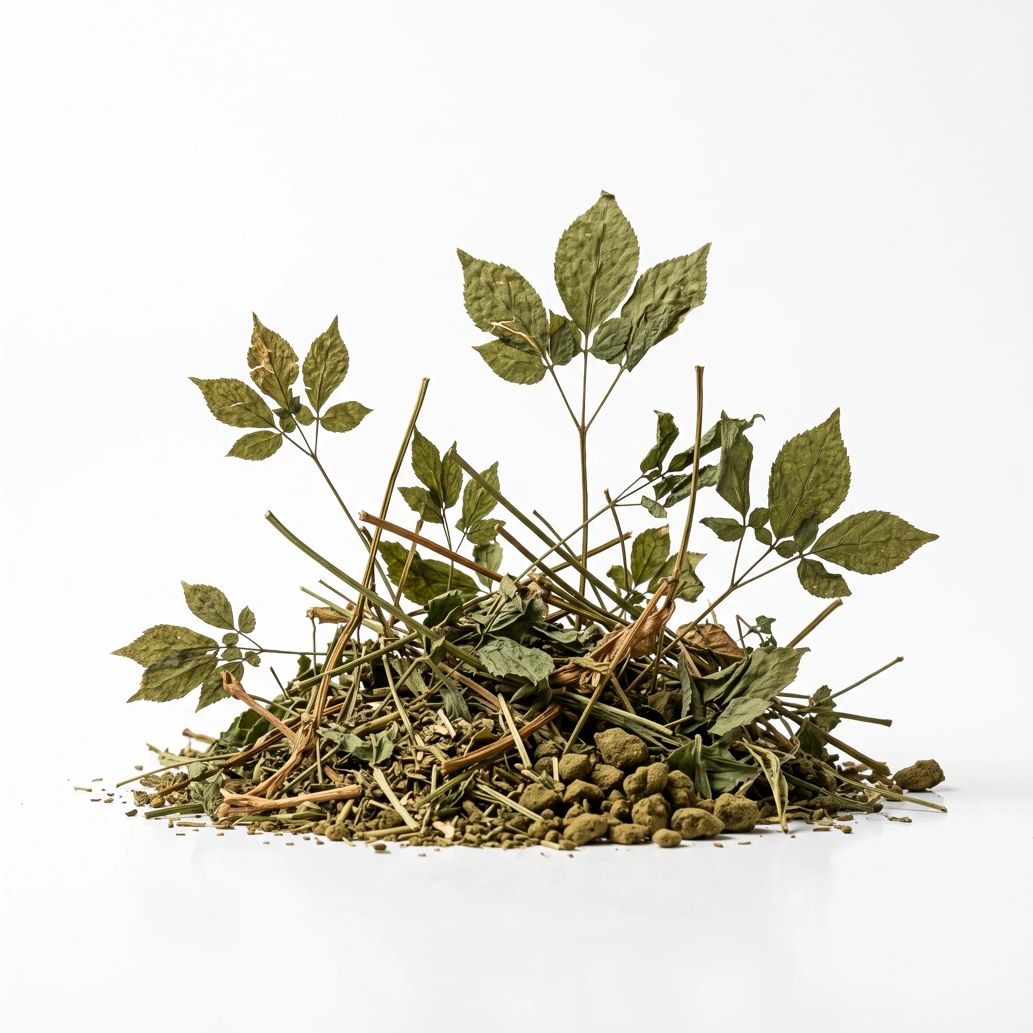 Panax Ginseng Aerial Extract